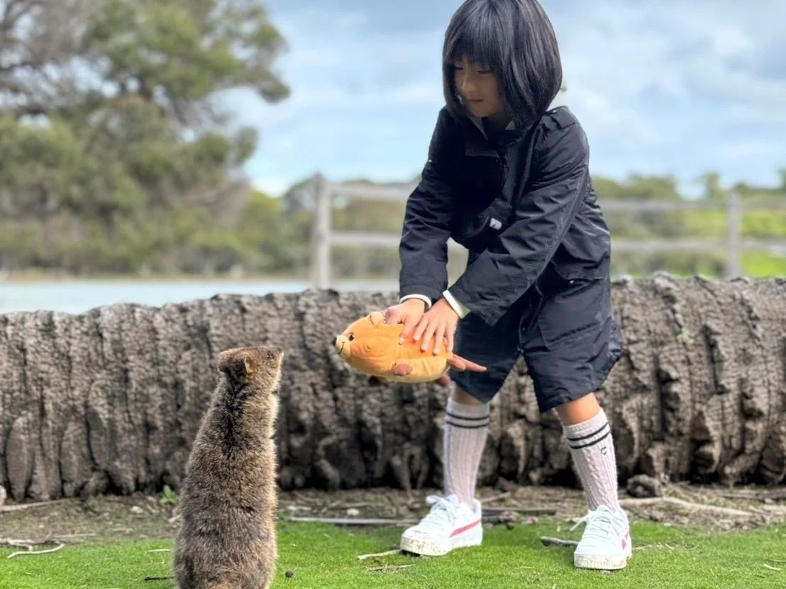 へっぽこ、ロットネスカノコ セール】Penneys（ぺニーズ）別注ドライカノコポロシャツ 吸水速